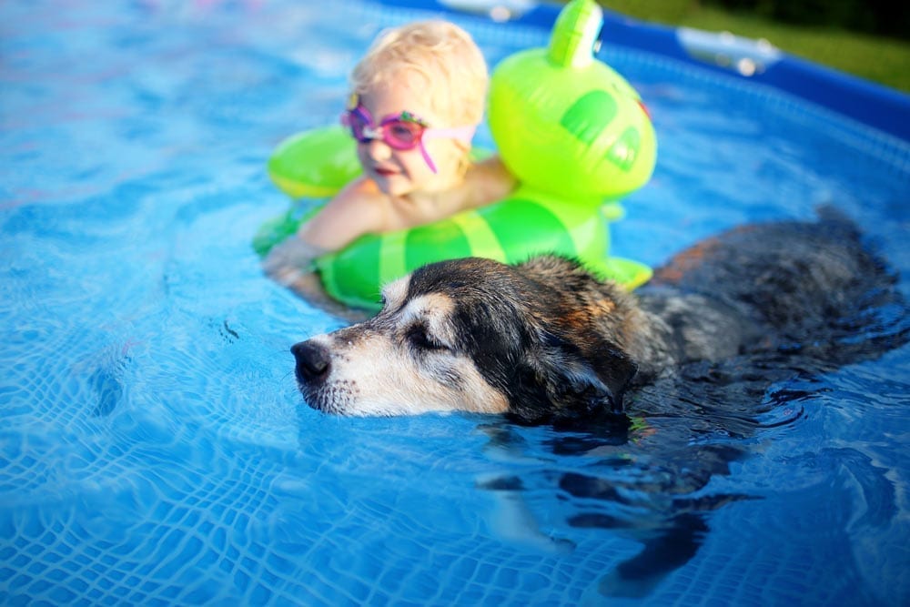 Image of child and dog playing in pool